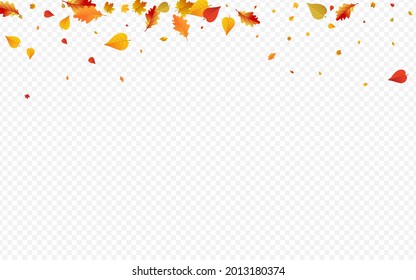 Brown Leaves Vector Transparent Background. Down Floral Card. Golden Decor Plant Design. November Illustration.