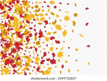 Brown Leaves Vector Transparent Background. Paper Leaf Card. Red Decor Foliage Frame. Ground Design.