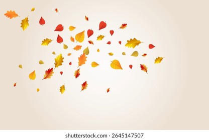 Brown Leaves Vector Transparent Background. Decor Plant Illustration. Orange Bright Leaf Card. Abstract Template.