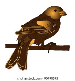 Brown little bird is standing on a branch.