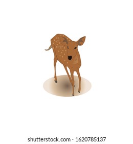 The brown little deer, the body is a white pattern on a shiny white background.
