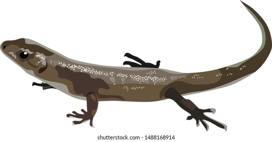 Brown Lizard Reptile Animal Vector Illustration