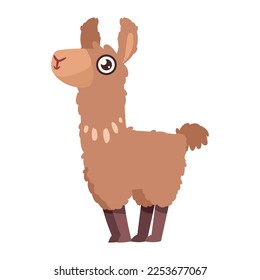 brown llama perubian animal character