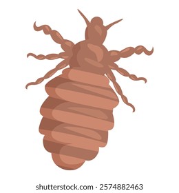 Brown louse insect parasite crawling spreading disease