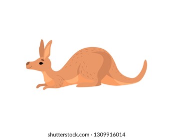 Brown Lying Kangaroo, Cute Wallaby Australian Animal Character Vector Illustration