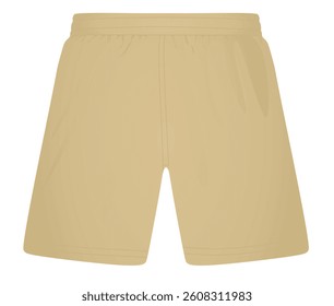 Brown  male shorts. vector illustration