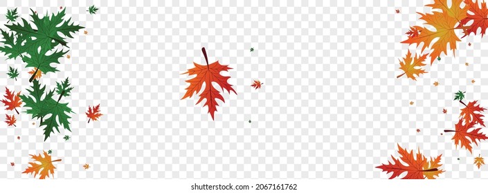 Brown Maple Background Transparent Vector. Plant Isolated Pattern. Green Flying. Realistic Illustration. Yellow Leaf Collection.