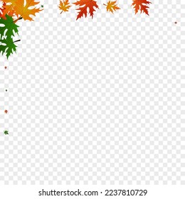 Brown Maple Background Transparent Vector. Floral Ground Template. Colorful Celebrate. October Design. Yellow Leaf November.