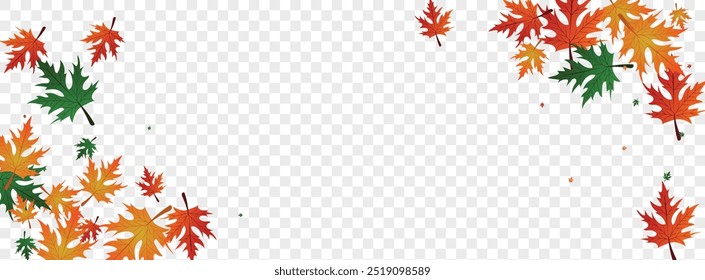 Brown Maple Background Transparent Vector. Plant Flag Frame. Gold Wallpaper. Single Card. Ocher Foliage October.