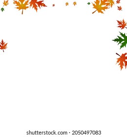 Brown Maple Background White Vector. Floral September Frame. Orange October. Beautiful Illustration. Green Leaves November.