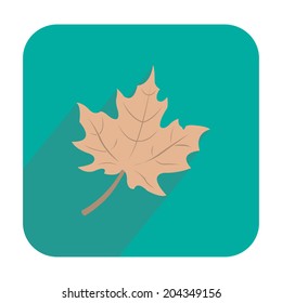 Brown maple leaf icon