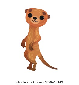 Brown Meerkat or Suricate as African Animal Vector Illustration