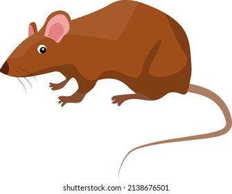 Brown mice, illustration, vector on a white background.