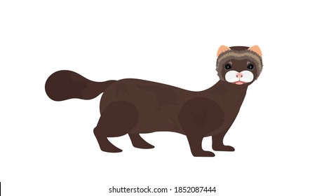 Brown mink. Mink in a flat style. Isolated, vector.