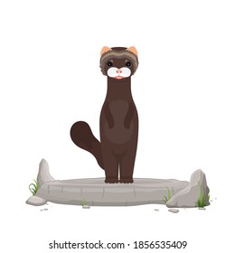 A brown mink stands on a stone. Mink in a flat style. Isolated, vector.