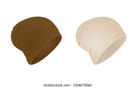 Brown modern hat set. vector illustration