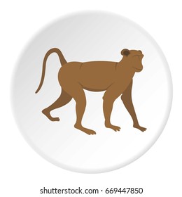 Brown monkey icon in flat circle isolated on white background vector illustration for web