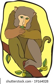 Brown monkey sitting on a branch