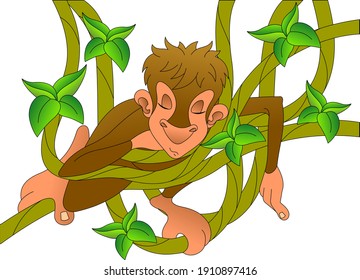 brown monkey sleeps on vines