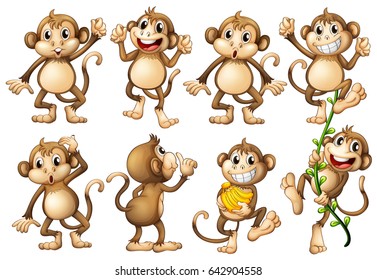 Brown monkeys in different actions illustration