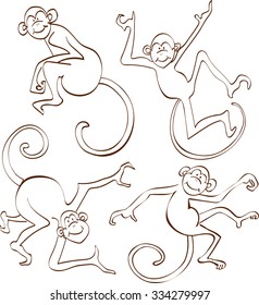Brown Monkeys Isolated on White. Vector illustration. Symbols of 2016 Chinese New Year.