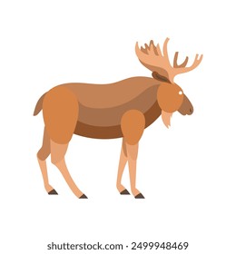 A brown moose with large antlers standing.