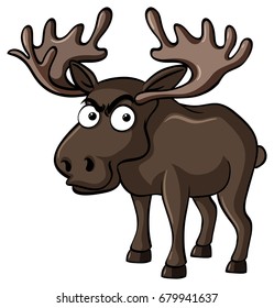 Brown moose with serious face illustration