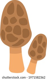 Brown morel mushroom, icon illustration, vector on white background