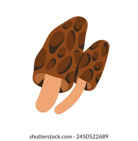 Hongo morel marrón. Morchella elata, hongo comestible con tapa de panal, tallo. Bosque de otoño alimento de hongos estacionales con hoyos, hoyos. Ilustración vectorial gráfica plana aislada sobre fondo blanco