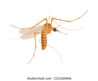 Brown mosquito bloodsucking insect cartoon design vector illustration isolated on white background