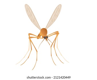 Brown mosquito bloodsucking insect cartoon design vector illustration isolated on white background