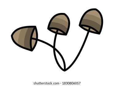 BROWN MUSHROOM ON A WHITE BACKGROUND IN VECTOR