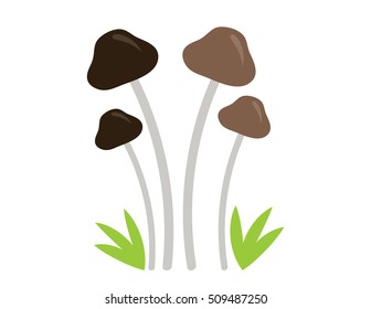 Brown Mushroom Patch
