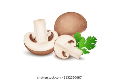 Brown mushroom vegetable with half mushroom pieces and slices with coriander leaves- vector illustration