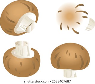 Brown mushrooms - Gradient touch illustration set.
I drew some delicious looking mushrooms.