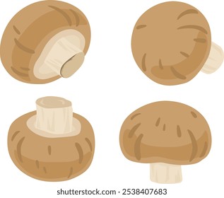 Brown mushrooms illustration set.
I drew some delicious looking mushrooms.