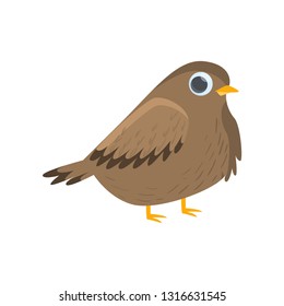 Brown nightingale standing isolated on white background. Side view