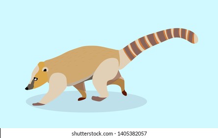 Brown nosed coati vector illustration