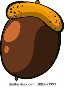 Nuez marrón ,ilustración,vector sobre fondo blanco