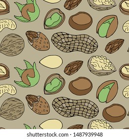 Brown nuts vector seamless. Hand drawn outline color nuts pattern. Food natural background.