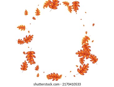 Brown Oak Background White Vector. Leaf Natural Illustration. Gold Acorn. Sale Design. Yellow Leaves Woods.