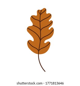 
brown oak leaf.Autumn leaves. Fallen oak leaf. Flat vector illustration 