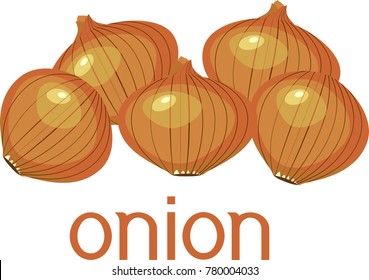 Brown onion bulbs with title on white background