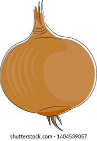 A brown onion with some of it's roots still attached, vector, color drawing or illustration. 