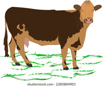 
Brown and orange cow splashing in the grass