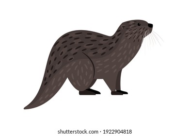 Brown Otter. Cartoon River Carnivore, Funny Swimming Mammal, Vector Illustration Of Furry Cute Exotic Animal Isolated On White Background