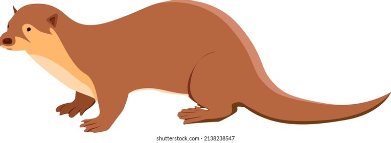 Brown otter, illustration, vector on a white background.