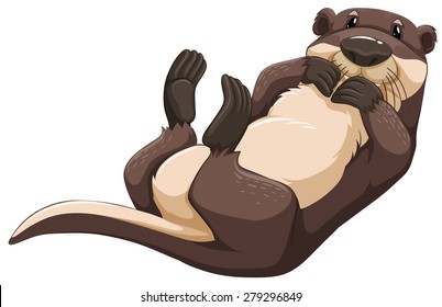 Brown otter lying on its back
