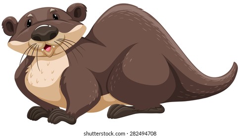 Brown otter sitting on white background