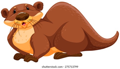 Brown otter sitting pose on white background